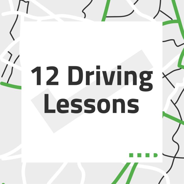 BDS DLP 12 Driving Lessons